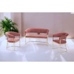 Decoraks Rio Çay Seti Takımı Koltuk Takımı Oturma Odası Kafe Antre Hol Ofis 2+1+1 Gold Metal - Pudra Pembe