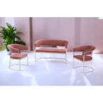 Decoraks Rio Çay Seti Takımı Koltuk Takımı Oturma Odası Kafe Antre Hol Ofis 2+1+1 Krom Metal - Pudra Pembe