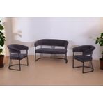 Decoraks Rio Çay Seti Takımı Koltuk Takımı Oturma Odası Kafe Antre Hol Ofis 2+1+1 Siyah Metal - Antrasit