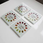 Decorita Cam Bardak Altlığı | 4'lü Takım Coffee Time | 10cm X 10cm