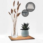Decorita Cam Saksı Altlığı | Ahşap Görünümlü | - 29 x 34 cm