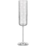 Decorium Allegra 110 ml 2 Parça Flüt Cam Şampanya Kadehi 9-01020232