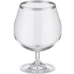 Decorium Dalia Platin Yaldızlı 110 ml 6 Parça Cam Martini Kadehi 9-01020184