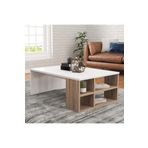 Decormet 030010083309595 Patara Defne Orta Sehpa