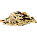 Decostyle Açlık Otu Erkek Sinameki Doğal 100 gr Paket - 1 Adet