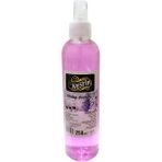 Decostyle Uludağ Geceleri Kolonyası 60 Derece Pet Şişe Sprey 250 ml - 1 Adet