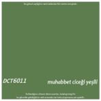 Decotone Su Bazlı Pvc Boyası - Muhabbet Ciceği Yeşili / RAL 6011