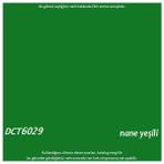 Decotone Su Bazlı Pvc Boyası - Nane Yeşili / RAL 6029