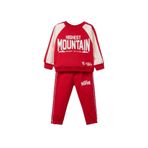DeFacto 2'li Takım Baskılı Sweatshirt Eşofman Altı Erkek Bebek, 9-12 Ay, G6299A526SP, Kırmızı-RD79, erkek-bebek