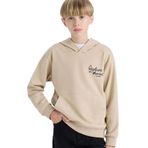 DeFacto Baskılı Kapüşonlu İçi Yumuşak Tüylü Okul Sweatshirt Erkek Çocuk, 5-6 Yaş, E9582A825AU, Bej-BG737, erkek-çocuk