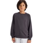 DeFacto Bisiklet Yaka Basic Düz Okul Sweatshirt Erkek Çocuk, 7-8 Yaş, E8415A825AU, Antrasit-AR138, erkek-çocuk