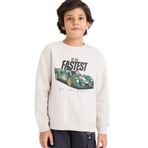 DeFacto Bisiklet Yaka Baskılı İçi Yumuşak Tüylü Sweatshirt Erkek Çocuk, 13-14 Yaş, G5543A825CW, Gri-GR492, erkek-çocuk