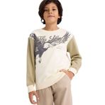 DeFacto Bisiklet Yaka Baskılı İçi Yumuşak Tüylü Sweatshirt Erkek Çocuk, 8-9 Yaş, G5554A825CW, Haki-KH96, erkek-çocuk