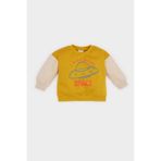 DeFacto Bisiklet Yaka İçi Yumuşak Tüylü Baskılı Sweatshirt Erkek Bebek, 9-12 Ay, D6755A524WN, Sarı-YL64, erkek-bebek