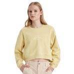 DeFacto Boxy Fit Bisiklet Yaka Baskılı Kalın Sweatshirt, 2XL, C5385AX23CW, Yeşil-GN657, kadın