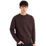 DeFacto Boxy Fit Bisiklet Yaka Baskılı Sweatshirt, XS, X8282AZ24AU, Kahve-BN337, erkek