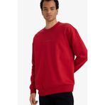 DeFacto Boxy Fit Bisiklet Yaka İçi Yumuşak Tüylü Baskılı Sweatshirt, S, X8282AZ25AU, Kırmızı-RD349, erkek