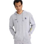 DeFacto Boxy Fit Kapüşonlu Sweatshirt, L, F8656AX26SP, Gri-GR389, erkek