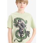 Defacto D9279A8 Erkek Çocuk T-Shirt