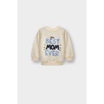 DeFacto Erkek Bebek Bisiklet Yaka Baskılı İçi Yumuşak Tüylü 2'li Sweatshirt G4283A525WN