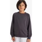 DeFacto Erkek Çocuk Bisiklet Yaka Basic Düz Okul Sweatshirt E8415A825AU - 8 - 9 Yaş - Antrasit-AR138