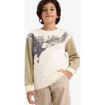 DeFacto Erkek Çocuk Bisiklet Yaka Baskılı İçi Yumuşak Tüylü Sweatshirt G5554A825CW - Haki-KH96 - 8 - 9 Yaş