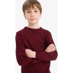 DeFacto Erkek Çocuk Bisiklet Yaka Triko Kazak A4992A825WN - Bordo-BR194 - 5 - 6 Yaş