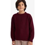 DeFacto Erkek Çocuk Bisiklet Yaka Triko Kazak G5563A825WN - Bordo-BR464 - 7 - 8 Yaş