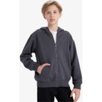 DeFacto Erkek Çocuk Kapüşonlu Basic Düz Okul Fermuarlı Sweatshirt X7382A625WN - 8 - 9 Yaş - Antrasit-AR126