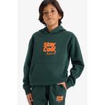 DeFacto Erkek Çocuk Kapüşonlu Baskılı İçi Yumuşak Tüylü Sweatshirt E9596A825AU