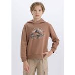 DeFacto Erkek Çocuk Kapüşonlu Baskılı Sweatshirt D6219A824CW - Kahve-BN554 - 11 - 12 Yaş