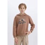 DeFacto Erkek Çocuk Kapüşonlu Baskılı Sweatshirt D6219A824CW
