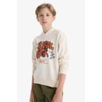 DeFacto Erkek Çocuk Kapüşonlu Baskılı Sweatshirt F2844A825AU