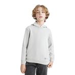 DeFacto Erkek Çocuk Kapüşonlu Sweatshirt Gri 8/9 Yaş