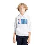 DeFacto Erkek Çocuk NBA Wordmark Kapüşonlu Kalın Sweatshirt Gri 9/10 Yaş
