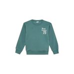 DeFacto Erkek Çocuk Oversize Fit Geniş Kalıp Bisiklet Yaka Sırt Baskılı Kalın Sweatshirt Yeşil 8/9 Yaş