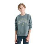 DeFacto Erkek Çocuk Regular Fit Bisiklet Yaka Baskılı Kalın Sweatshirt Yeşil 8/9 Yaş