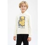 DeFacto Erkek Çocuk Regular Fit Kapüsonlu Sweatshirt
