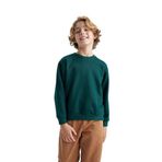 DeFacto Erkek çocuk sweatshirt, D.green, 6-7 Yıl