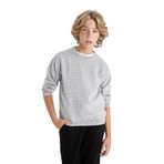 DEFACTO Erkek Çocuk Sweatshirt, Gri Melanj, 9-10 Yaş