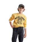 DeFacto Erkek çocuk sweatshirt, Sarı, 4-5 Jahre