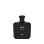 DeFacto Erkek Iron Grey Amber 100 ml Parfüm, H1464AXNS