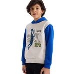 DeFacto Kapüşonlu Baskılı İçi Yumuşak Tüylü Sweatshirt Erkek Çocuk, 5-6 Yaş, G5651A825CW, Gri-GR492, erkek-çocuk