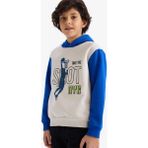 DeFacto Kapüşonlu Baskılı İçi Yumuşak Tüylü Sweatshirt Erkek Çocuk G5651A825CW - Gri-GR492 - 5 - 6 Yaş