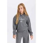 DeFacto Kapüşonlu Baskılı Selanik Kumaş Sweatshirt Kız Çocuk, 7-8 Yaş, D4294A824WN, Antrasit-AR198, kız-çocuk