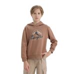 DeFacto Kapüşonlu Baskılı Sweatshirt Erkek Çocuk, 11-12 Yaş, D6219A824CW, Kahve-BN554, erkek-çocuk