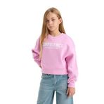 DeFacto Kız Çocuk V Yaka Slogan Baskılı İçi Yumuşak Tüylü Düşük Kollu Kalın Kumaş Sweatshirt Pembe 13/14 Yaş