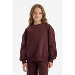 Defacto Overshirt Fit Taşlı İçi Yumuşak Tüylü Sweatshirt Kız Çocuk, 8-9 Yaş, G6262A825WN, Kahve-BN277, kız-çocuk, 8/9 Yaş (134cm)