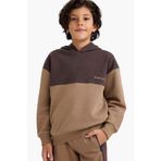 DeFacto Oversize Geniş Kalıp Kapüşonlu Baskılı İçi Yumuşak Tüylü Sweatshirt Erkek Çocuk, 13-14 Yaş, G5541A825CW, Kahve-BN340, erkek-çocuk