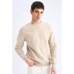 DeFacto Regular Fit Bisiklet Yaka Kalın Basic Düz Sweatshirt, 2XL, T3777AZ25SP, Bej-BG735, erkek